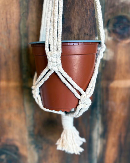Macramé Plant Hanger