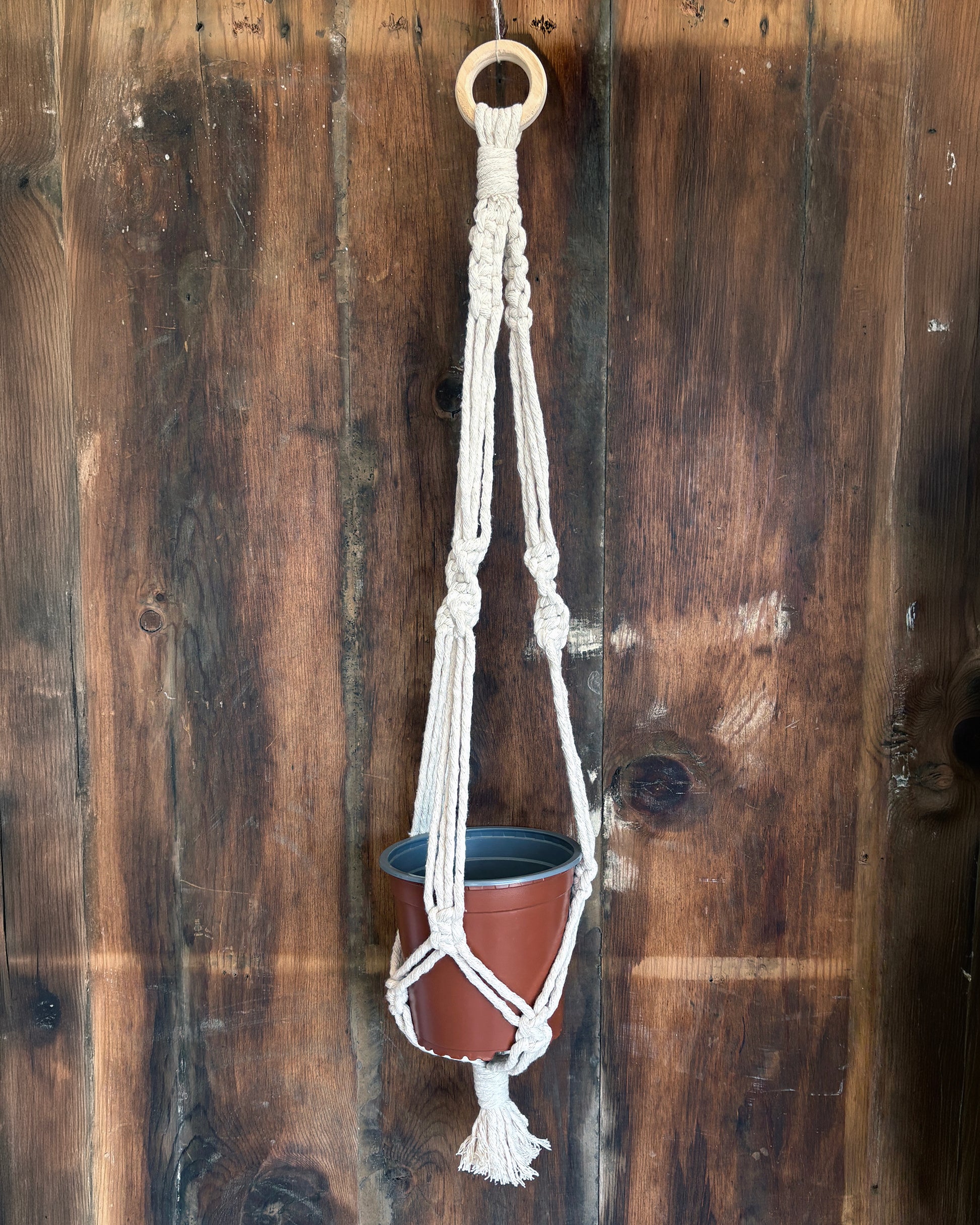 Macrame plant hanger with a pot against a wooden background