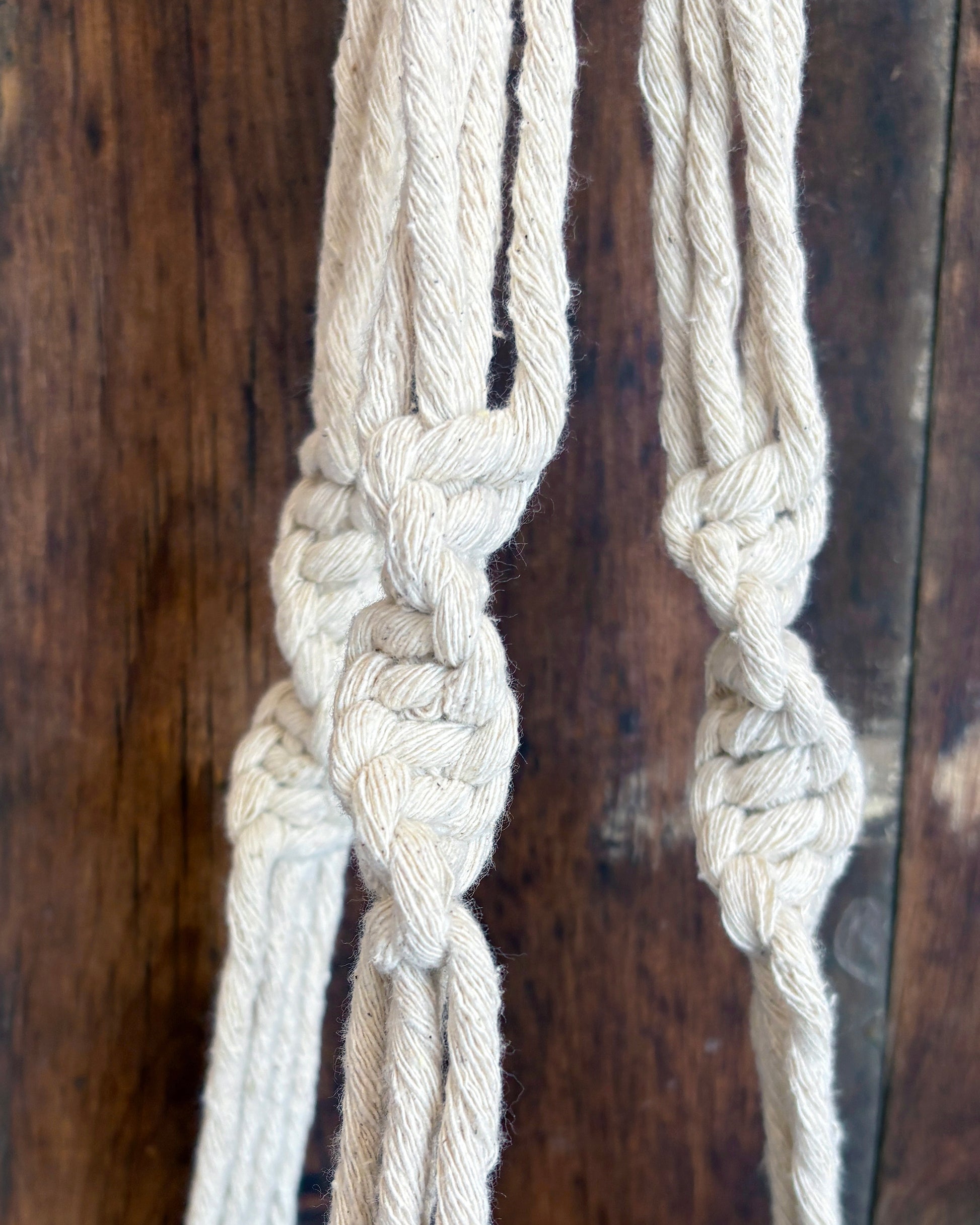 Close-up of a knotted beige rope plant hanger against a wooden background