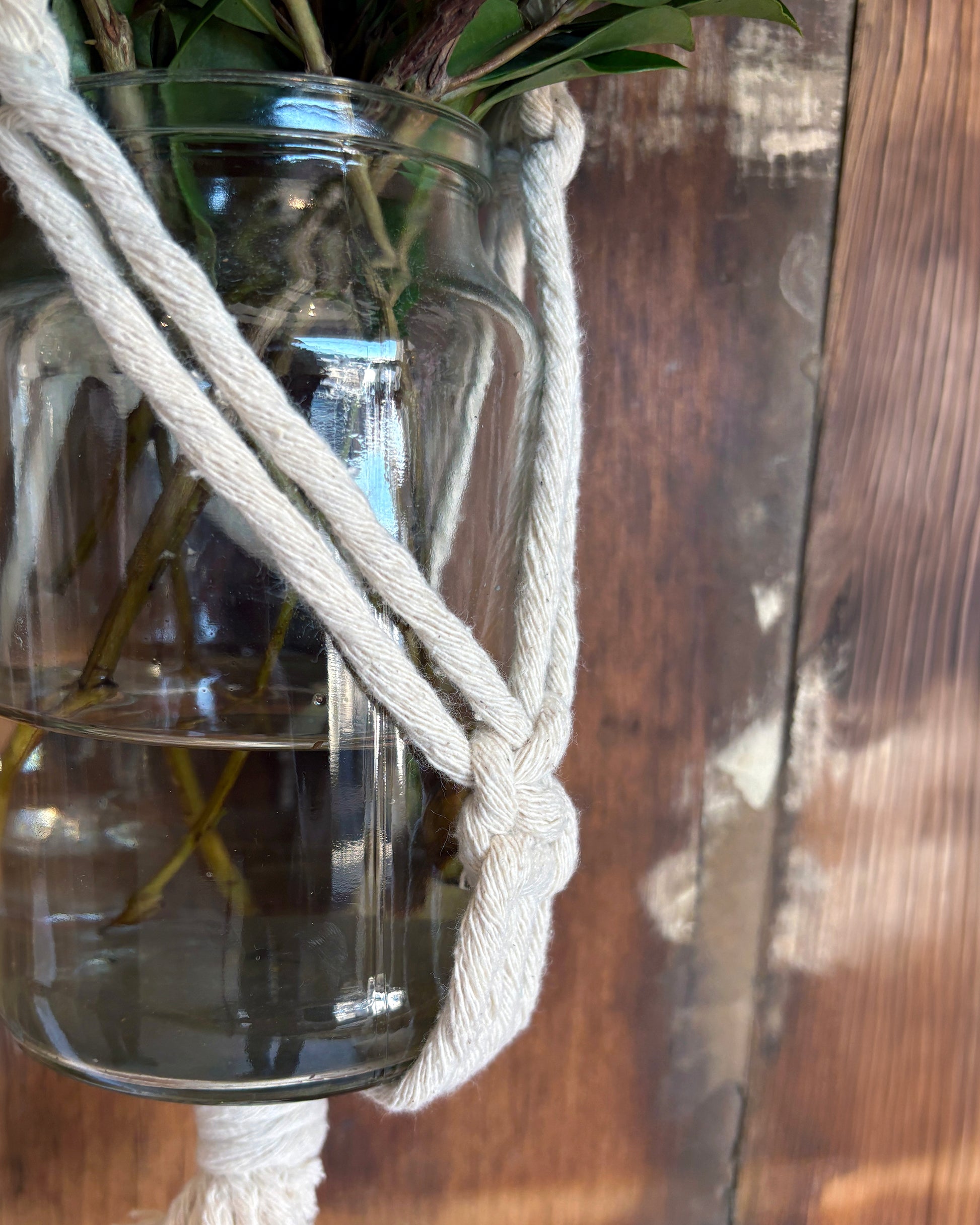 Glass vase with plant in macrame rope plant hanger with plant